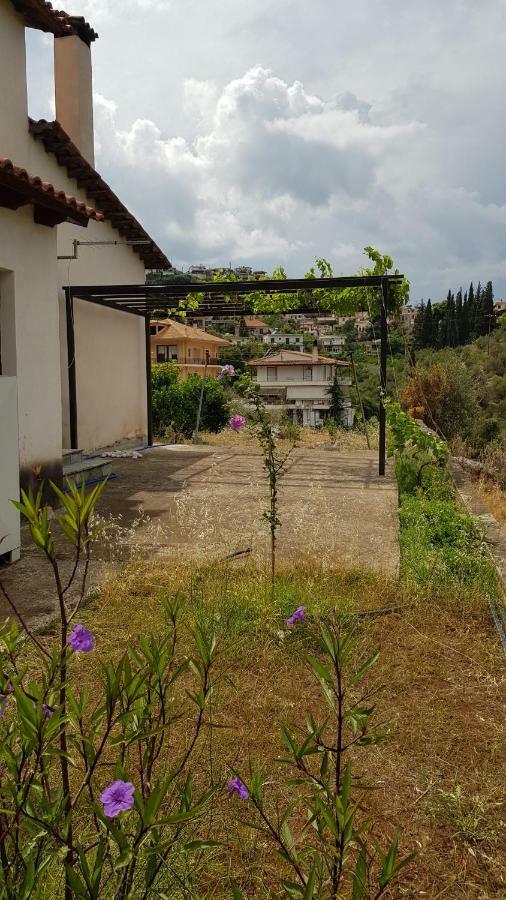 Ample Modern Country Home Néa Epidavros Exterior foto