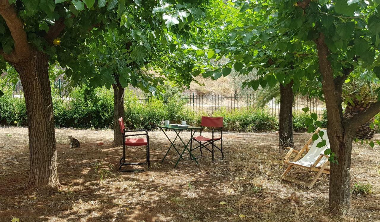 Ample Modern Country Home Néa Epidavros Exterior foto